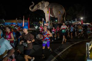 BIB: 
                            <button type="button" onclick="openModal(26552322)" class="btn btn-primary btn-sm float-right btn-popup" data-toggle="modal" data-target=".modal-high-quality">
                        <i class="fas fa-shopping-cart"></i> Add to Cart
                    </button>
                                            <button type="button" onclick="isThisMe(26552322, true)" class="btn btn-success btn-sm float-right btn-popup btn-isme hidden" data-toggle="tooltip" data-placement="bottom" title="นี่คือรูปของคุณใช่ไหม คลิกที่นี่เพื่อเอาเข้าอัลบั้ม">
                        <i class="fas fa-plus"></i> Add to album
                    </button>
                    <button type="button" onclick="isThisMe(26552322, false)" class="btn btn-warning btn-sm float-right btn-popup btn-isnotme hidden">
                        <i class="fas fa-ban"></i> Remove from album
                    </button>